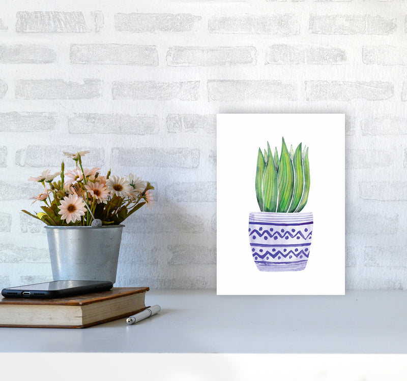 The Blue Succulent Art Print by Seven Trees Design A4 Black Frame