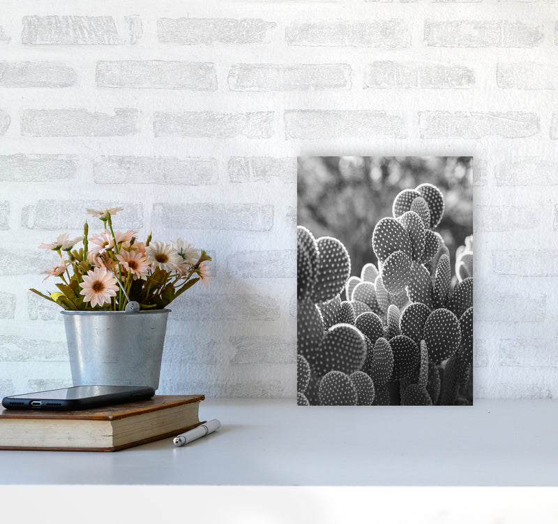 The Cacti Cactus B&W Art Print by Seven Trees Design A4 Black Frame