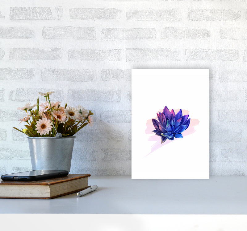 The Modern Succulent Art Print by Seven Trees Design A4 Black Frame