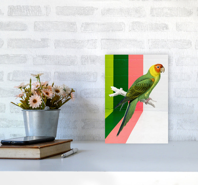 Graffiti Bird Art Print by Seven Trees Design A4 Black Frame
