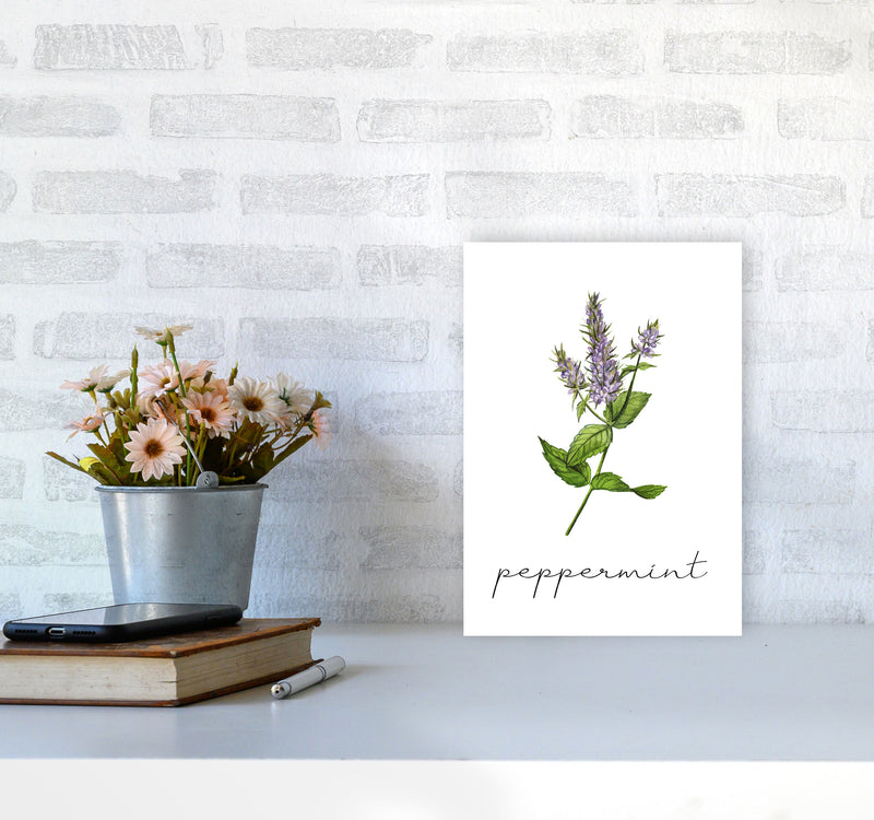 peppermint Art Print by Seven Trees Design A4 Black Frame