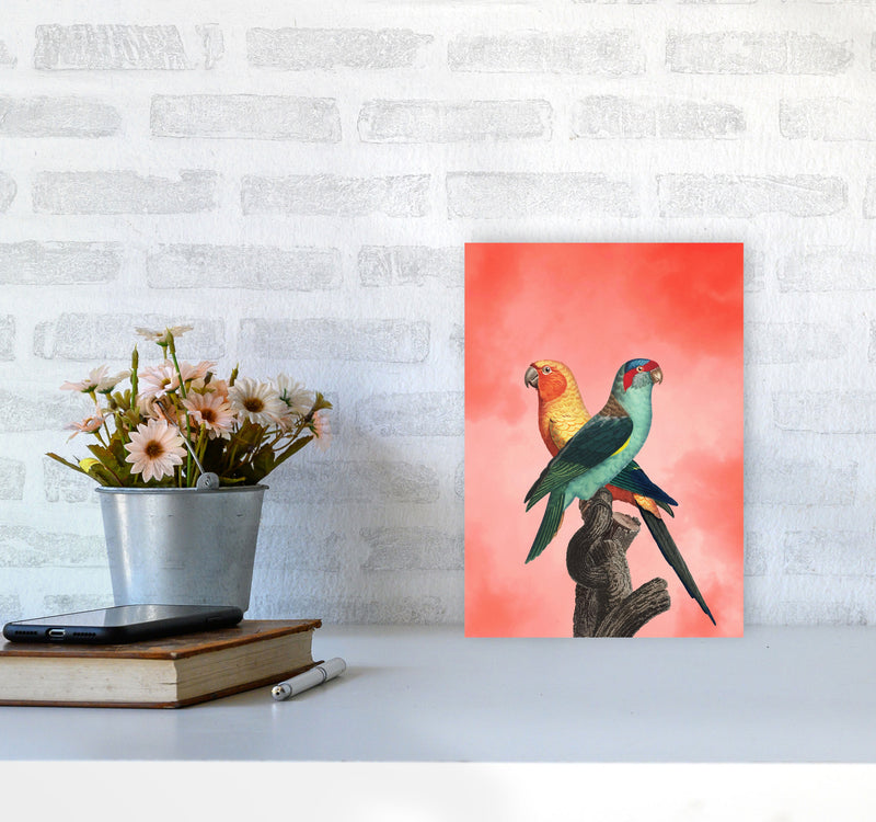 The Birds and the pink sky I Art Print by Seven Trees Design A4 Black Frame