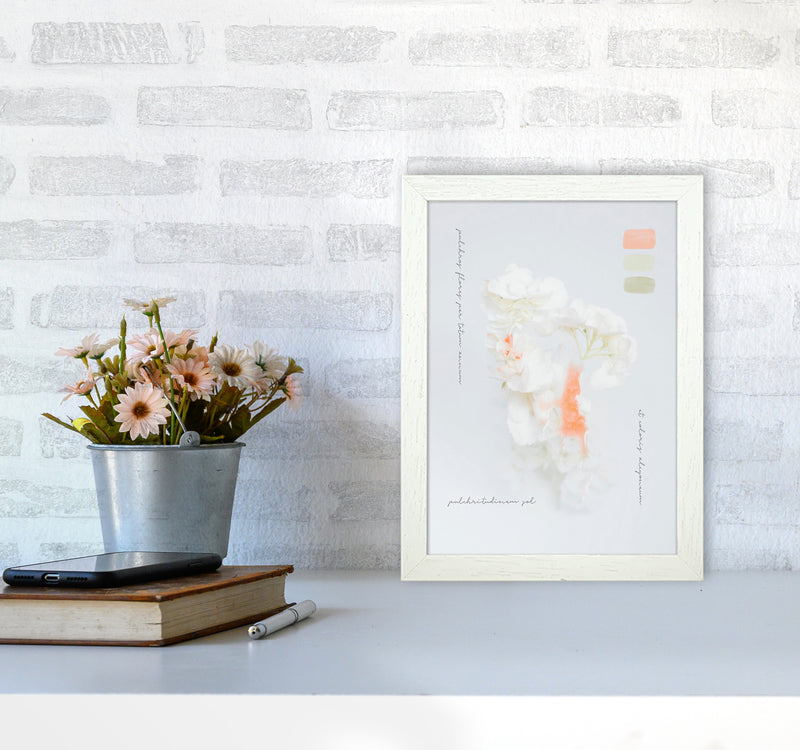 Modern Vintage Botanic Art Print by Seven Trees Design A4 Oak Frame