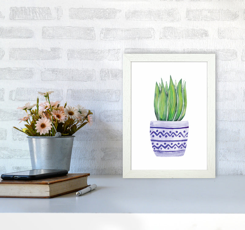 The Blue Succulent Art Print by Seven Trees Design A4 Oak Frame