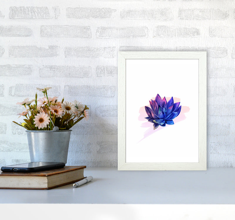 The Modern Succulent Art Print by Seven Trees Design A4 Oak Frame