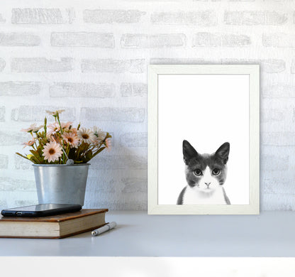 Watercolor Cat Art Print by Seven Trees Design A4 Oak Frame