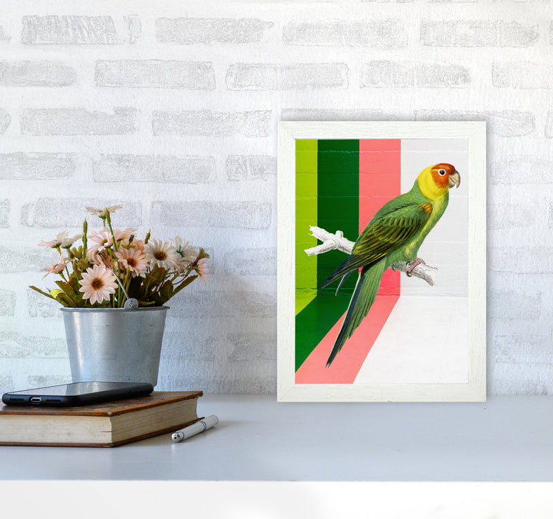 Graffiti Bird Art Print by Seven Trees Design A4 Oak Frame