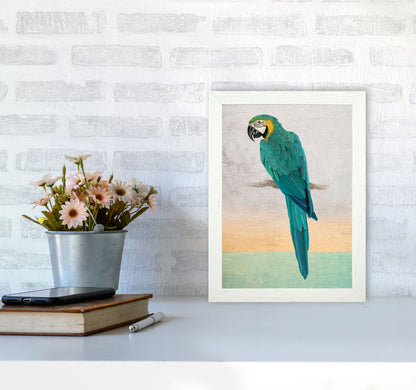 Graffiti Macaw Art Print by Seven Trees Design A4 Oak Frame