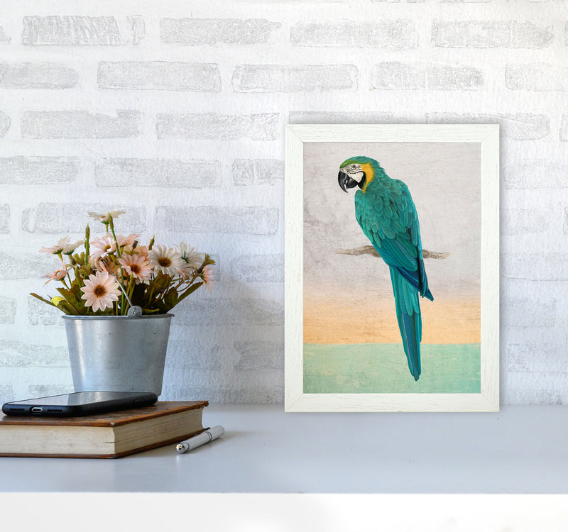Graffiti Macaw Art Print by Seven Trees Design A4 Oak Frame