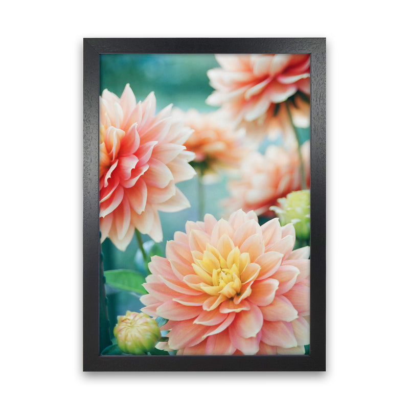 Happy Flowers Photography Art Print by Seven Trees Design Black Grain