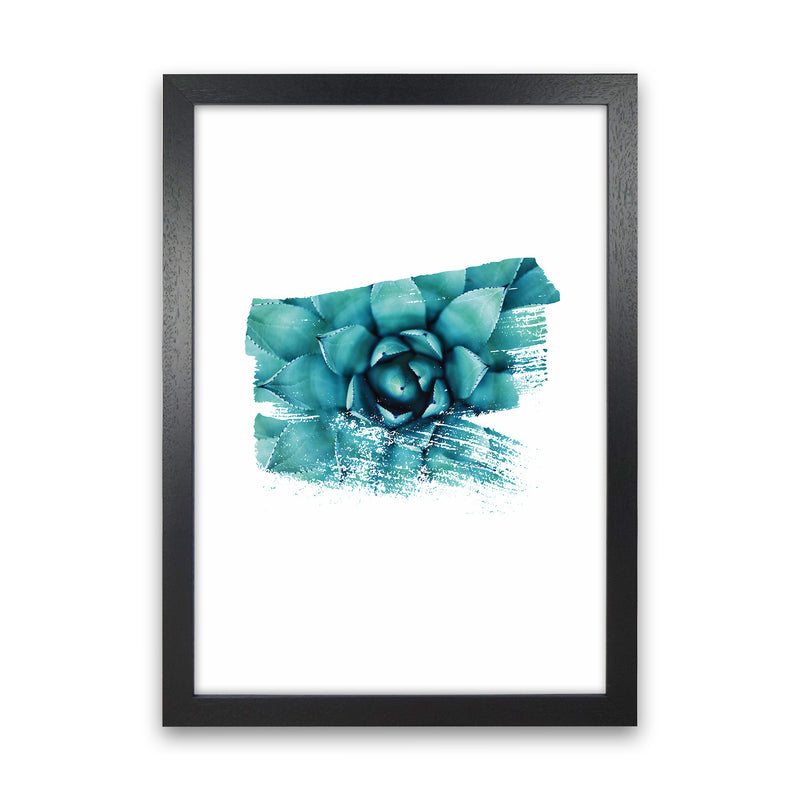 Modern Succulent II Art Print by Seven Trees Design Black Grain
