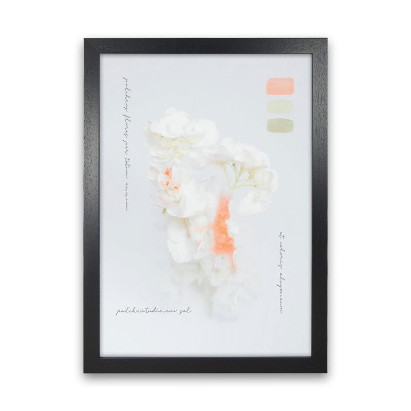 Modern Vintage Botanic Art Print by Seven Trees Design Black Grain