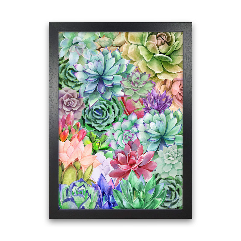 Succulents Paradise Botanical Art Print by Seven Trees Design Black Grain
