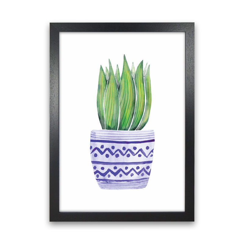 The Blue Succulent Art Print by Seven Trees Design Black Grain