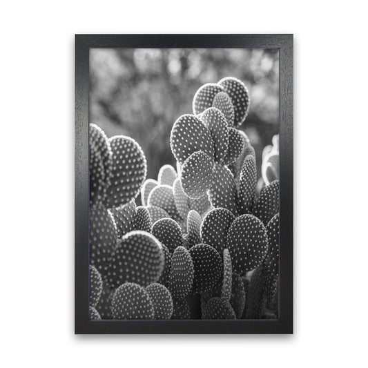 The Cacti Cactus B&W Art Print by Seven Trees Design Black Grain
