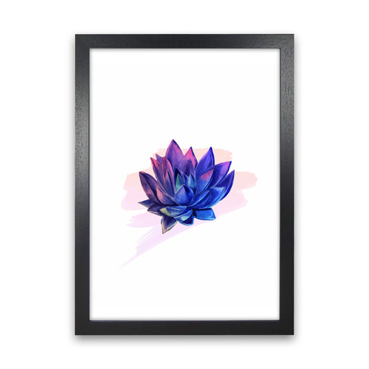 The Modern Succulent Art Print by Seven Trees Design Black Grain