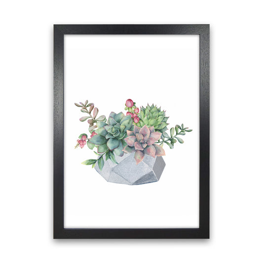 The Watercolor Succulents Art Print by Seven Trees Design Black Grain