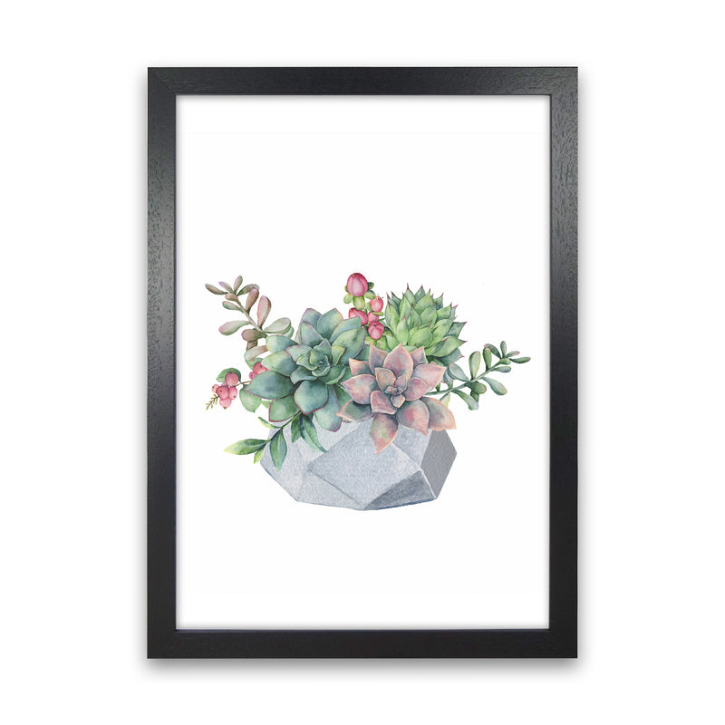 The Watercolor Succulents Art Print by Seven Trees Design Black Grain