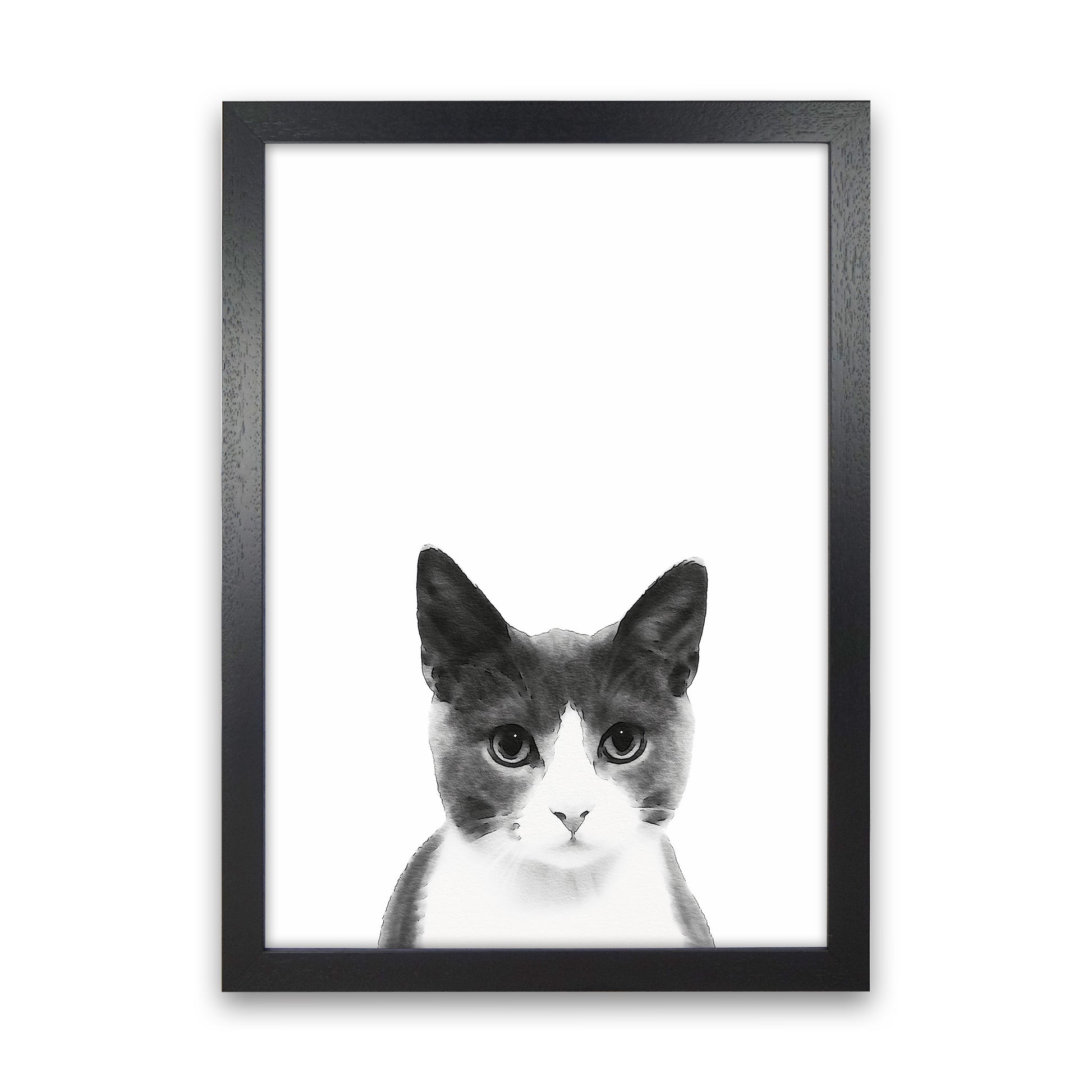 Watercolor Cat Art Print by Seven Trees Design Black Grain