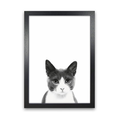 Watercolor Cat Art Print by Seven Trees Design Black Grain