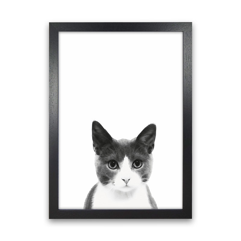 Watercolor Cat Art Print by Seven Trees Design Black Grain