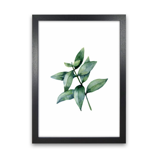 Watercolor Eucalyptus III Art Print by Seven Trees Design Black Grain