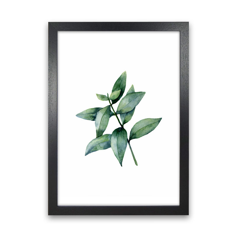 Watercolor Eucalyptus III Art Print by Seven Trees Design Black Grain