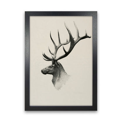 Mountain Reindeer Art Print by Seven Trees Design Black Grain