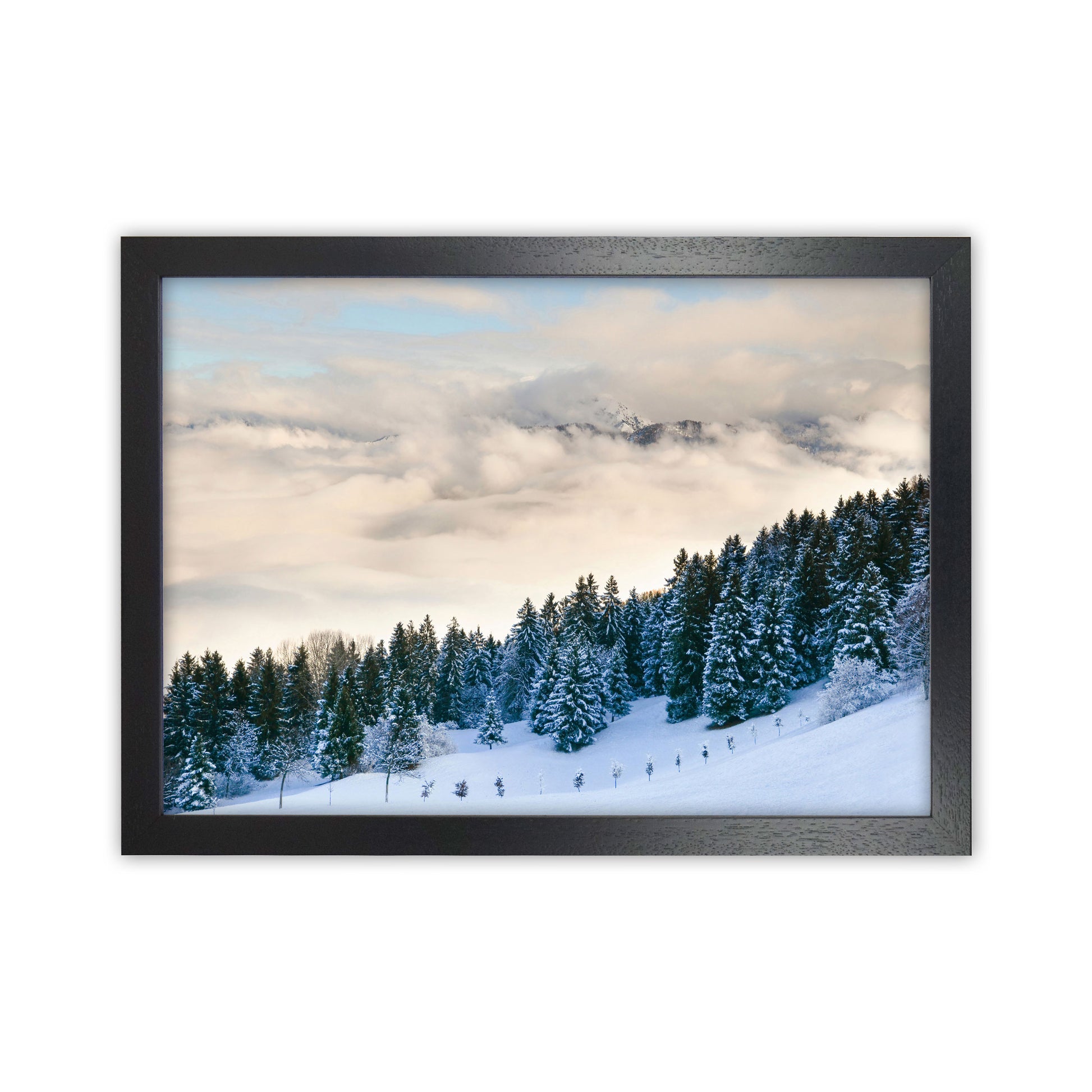 Pines in the sky Art Print by Seven Trees Design Black Grain