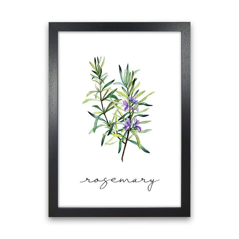Rosemary Art Print by Seven Trees Design Black Grain