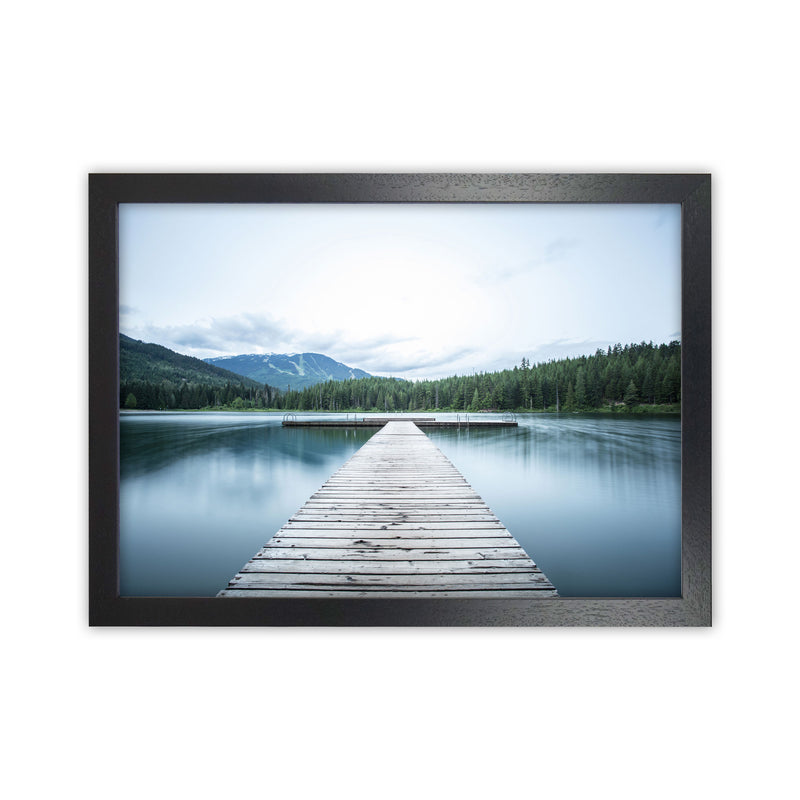 The Lake Art Print by Seven Trees Design Black Grain