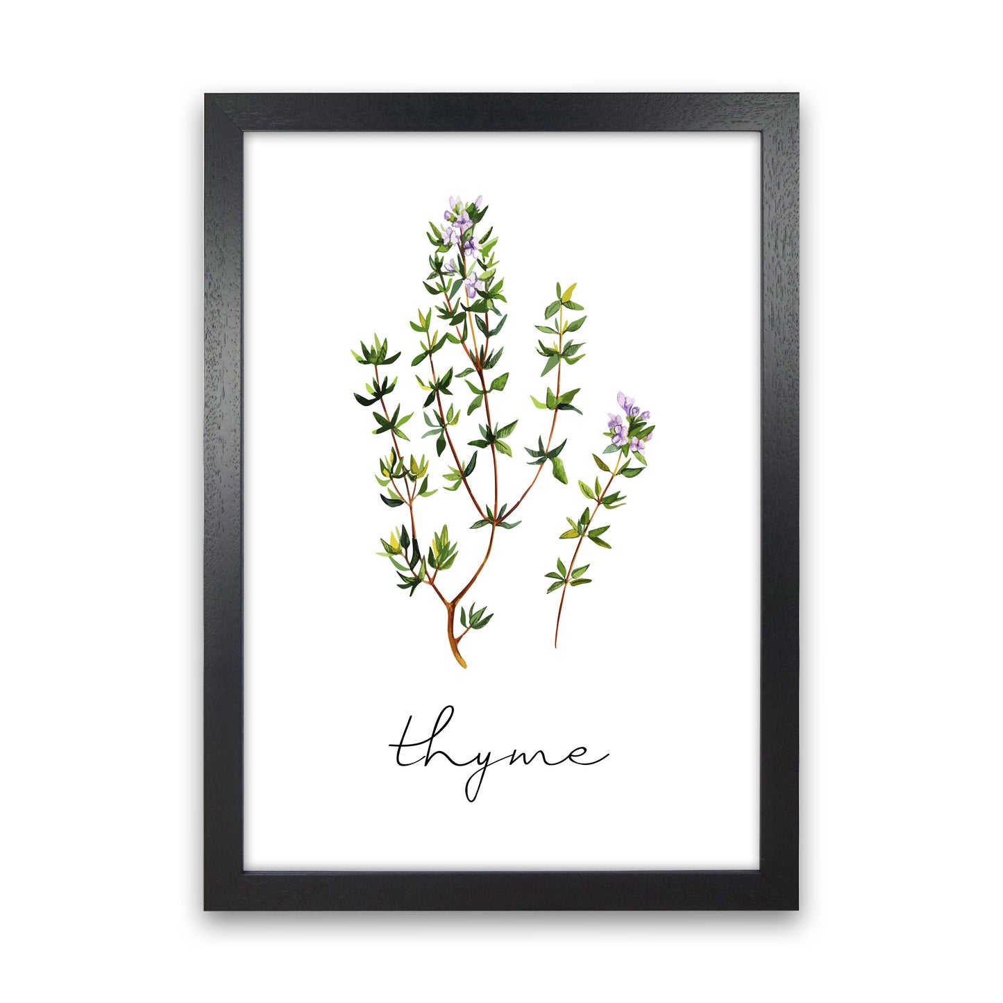 Thyme Art Print by Seven Trees Design Black Grain