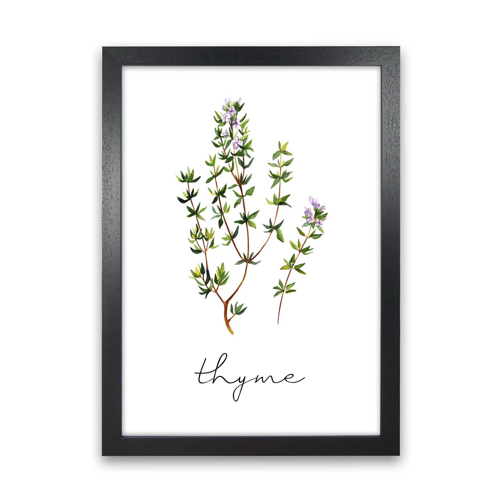 Thyme Art Print by Seven Trees Design Black Grain