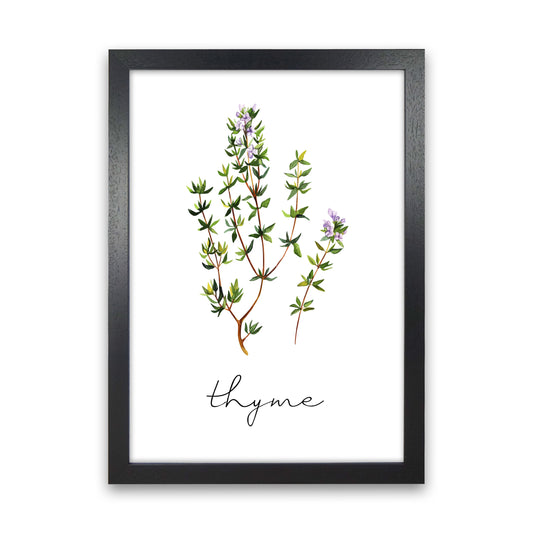 Thyme Art Print by Seven Trees Design Black Grain