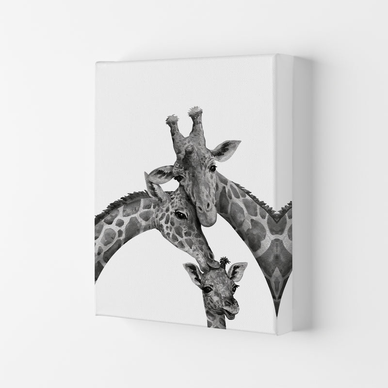 Giraffe Family Photography Art Print by Seven Trees Design Canvas