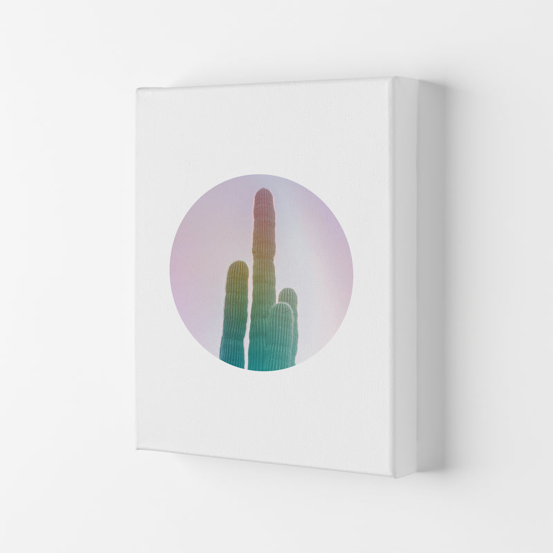 Circular Cacti Art Print by Seven Trees Design Canvas