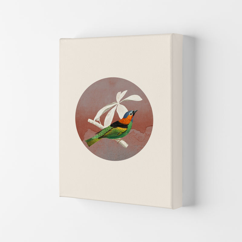 Bird Collage II Art Print by Seven Trees Design Canvas