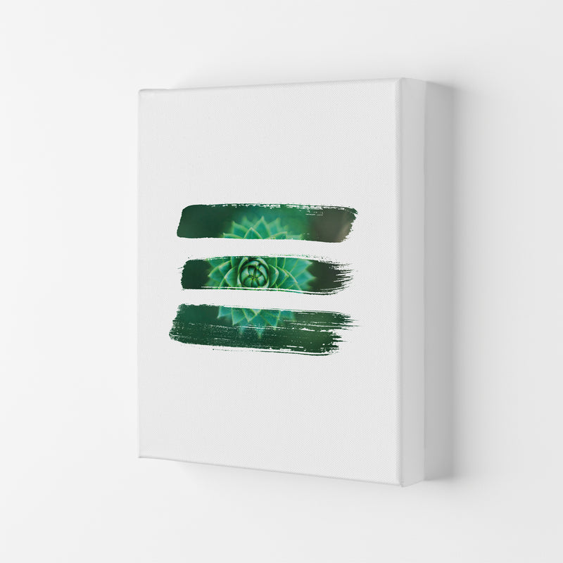 Modern Succulent I Art Print by Seven Trees Design Canvas