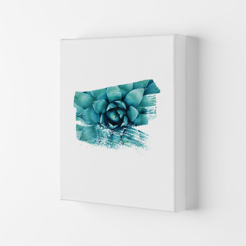 Modern Succulent II Art Print by Seven Trees Design Canvas