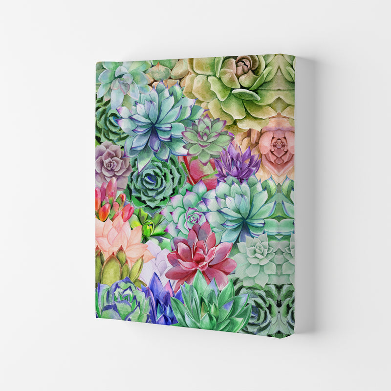 Succulents Paradise Botanical Art Print by Seven Trees Design Canvas