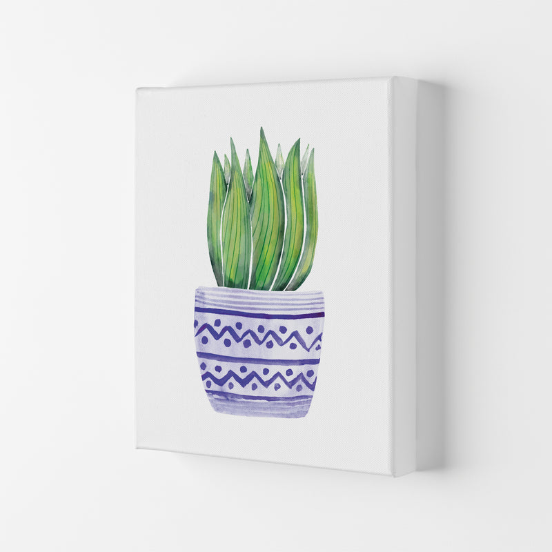 The Blue Succulent Art Print by Seven Trees Design Canvas