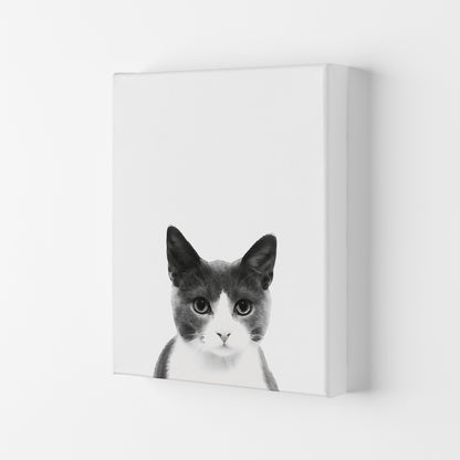 Watercolor Cat Art Print by Seven Trees Design Canvas