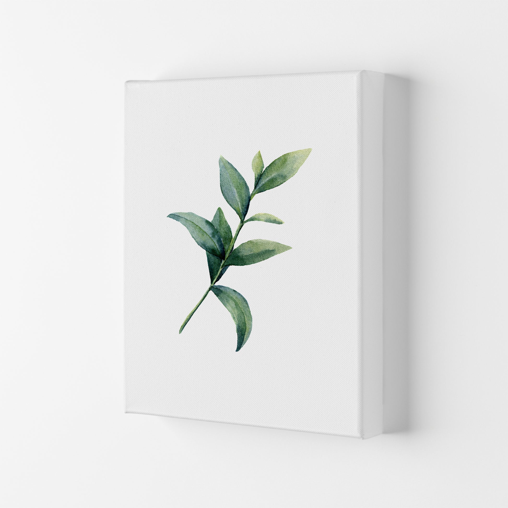 Watercolor Eucalyptus II Art Print by Seven Trees Design Canvas