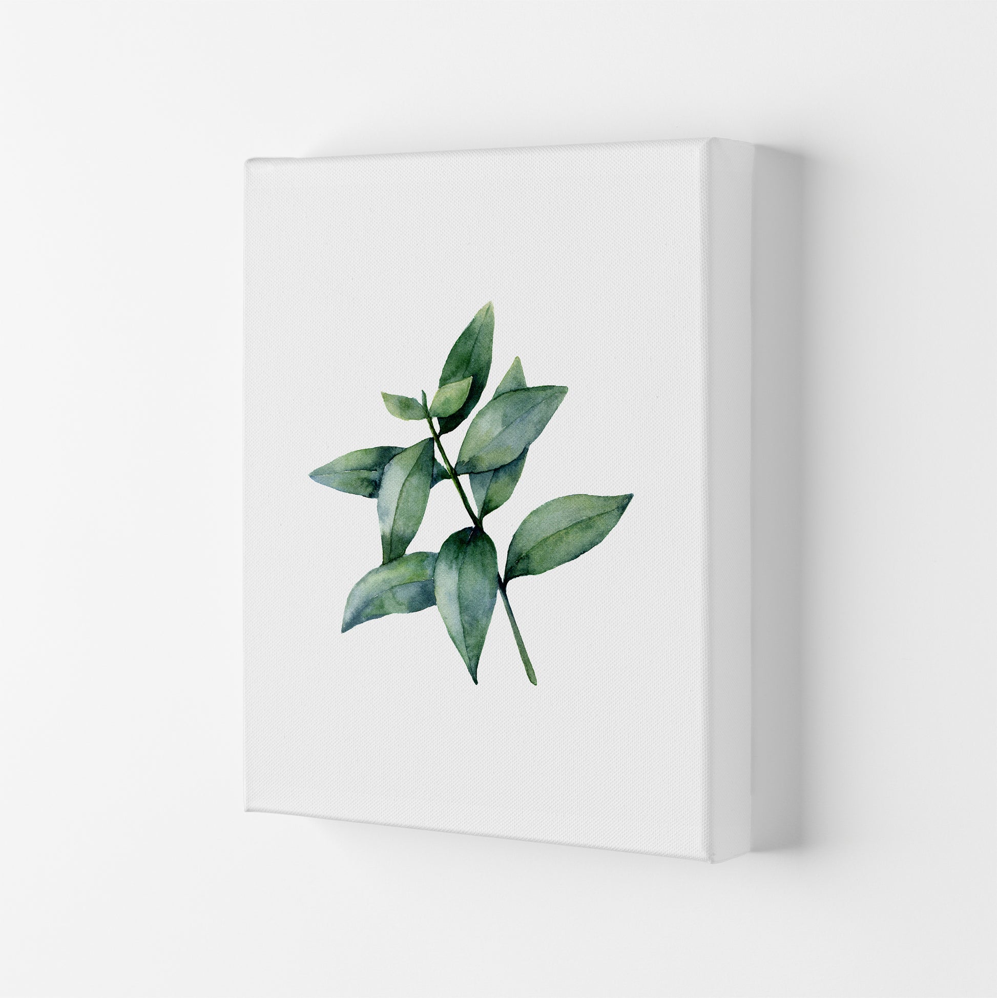 Watercolor Eucalyptus III Art Print by Seven Trees Design Canvas