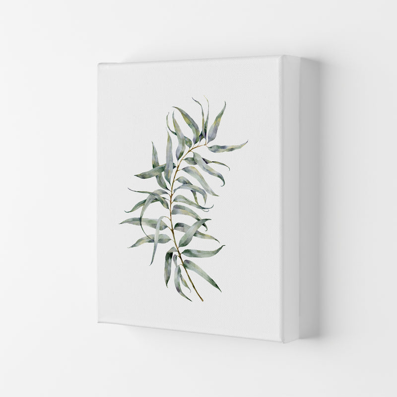 Watercolor Eucalyptus IV Art Print by Seven Trees Design Canvas