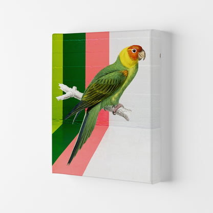 Graffiti Bird Art Print by Seven Trees Design Canvas