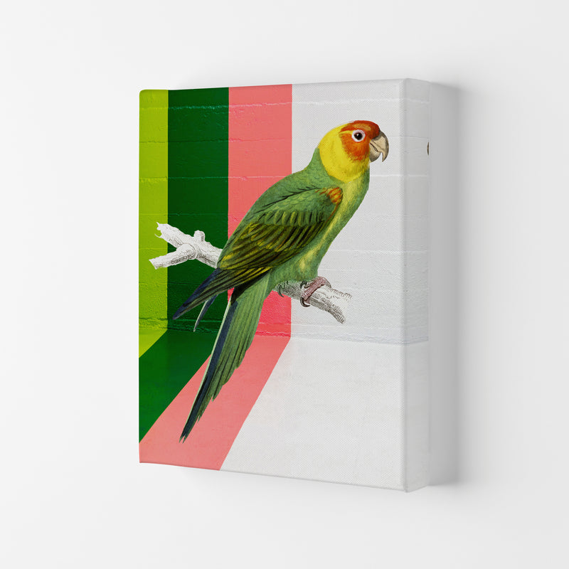 Graffiti Bird Art Print by Seven Trees Design Canvas