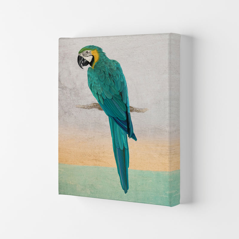 Graffiti Macaw Art Print by Seven Trees Design Canvas