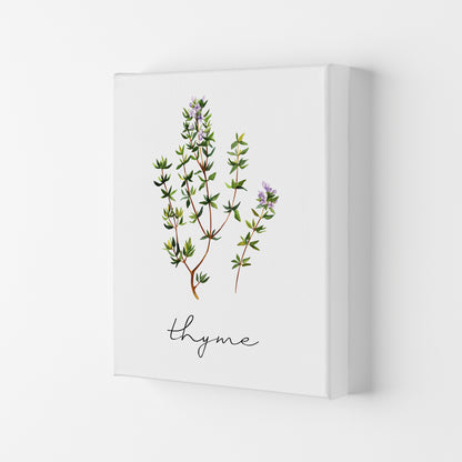 Thyme Art Print by Seven Trees Design Canvas