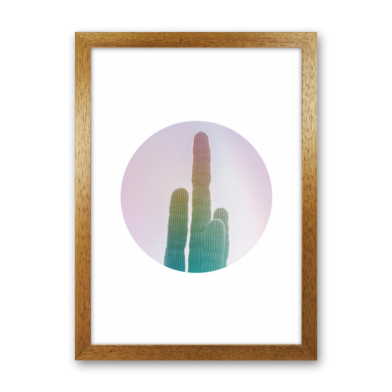 Circular Cacti Art Print by Seven Trees Design Oak Grain